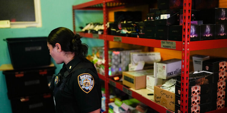 NYPD’s Largest Cannabis Bust: $10 Million in Narcotics Seized in The Bronx